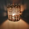 Willow Lampshade workshop with Helena Golden  22nd April Sat  10-5pm 